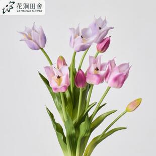 ���滨������5�^6�������������c���滨�廨����ܛ�z������羳
