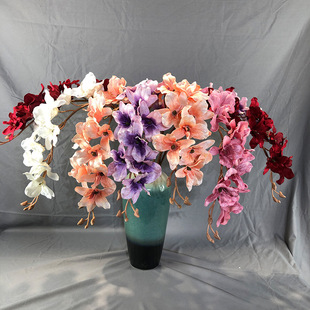 �q�����m�� ��c���m��������m ���滨 ��c�����m���������l