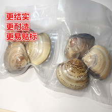 老牌上海蛤蜊油护手霜老国货嘎啦油贝壳油口子油歪子油蚌壳油