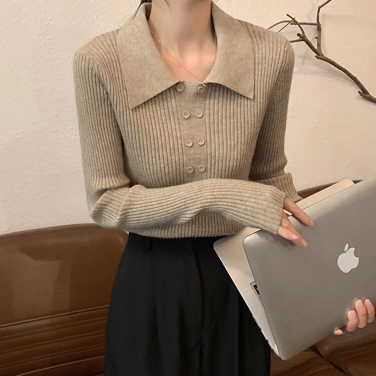 2025 New Autumn and Winter Knitted Knitwears with Design Sense, Inner Knitwears, Bottoming Shirts for Women, Spring & Fall New Slim Collar Tops 2025 New Autumn and Winter Knitted Knitwears with Design Sense, Inner Knitwears, Bottoming Shirts for Women, Spring & Fall New Slim Collar Tops