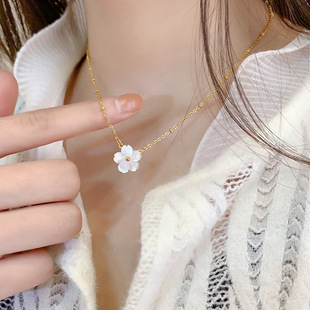 ��ͨ�w�䓡����R�d�羳�����p��ؐĸ�׻����朚��|�߼��в���ɫ