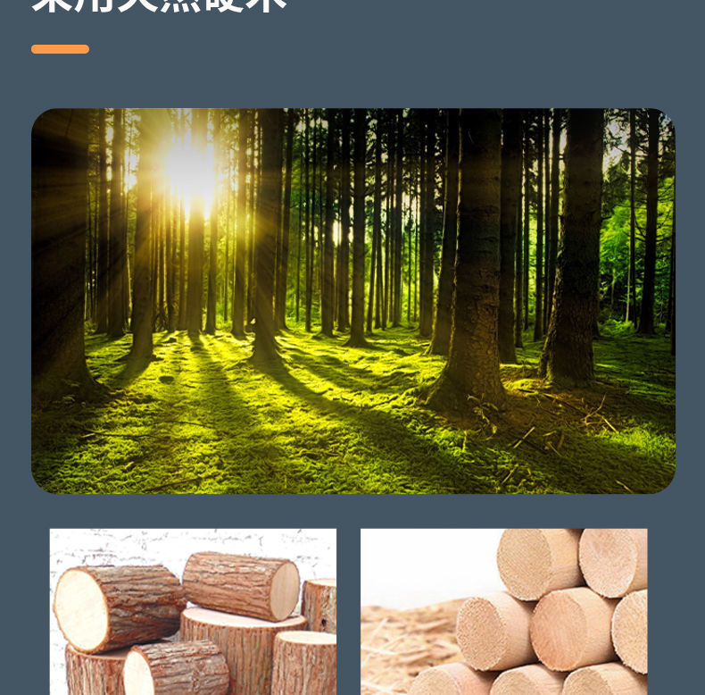 1526d601-7155-43c8-88af-e45ae0e3246d.jpe