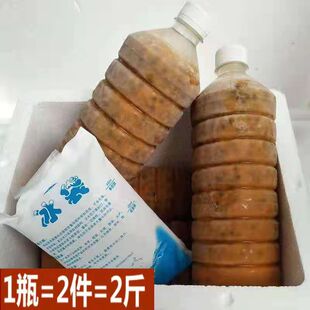 ���r������{���l�����������֭���������u����ɏ�̲�ꌣ��