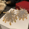 Earrings, zirconium, advanced silver needle, crystal earings, micro incrustation, fitted, high-quality style, silver 925 sample