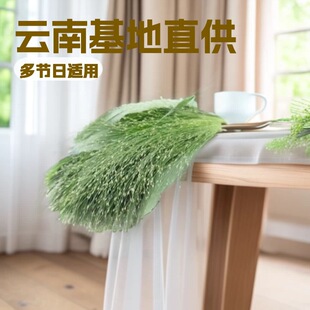 �����ϻ����r�����lõ�廨����������b��������r�а��]