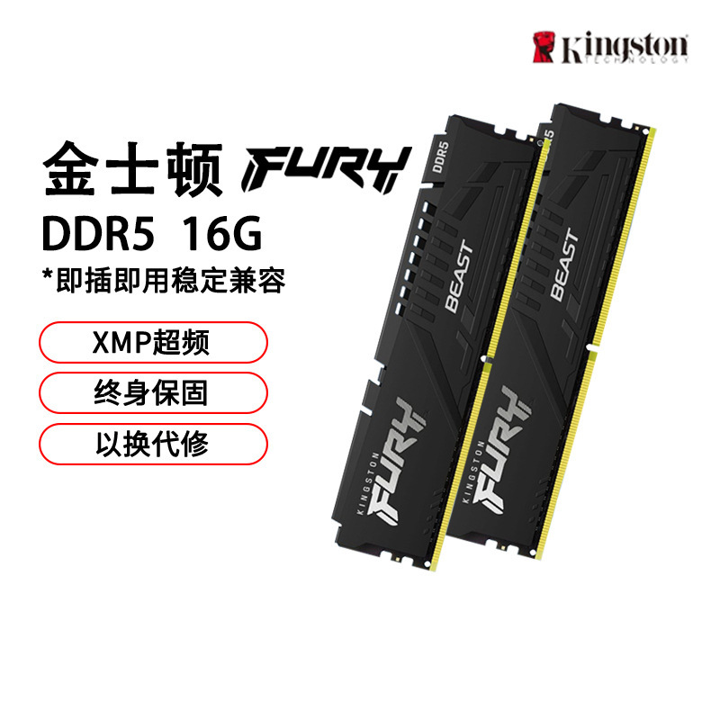 Fury 5600/6000Hz Beast Fury Hacker Memory Stick Desktop Computer Memory Stick Ddr5