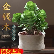 ���Xľ���԰lؔ���Ϙ�����ֲ��С���X���k���҃Ⱥ��B��ؔ�Gֲ����