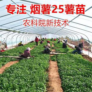 ����̖����ɽ�|��̨�ع���N�t�������r��ԺÓ����������