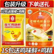 大厨四宝老姆鸡鲜香粉调味料正品浓缩老姆鸡老母鸡粉增香提鲜200g