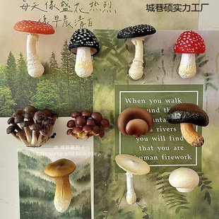 ������Ͼ����㹽Ģ�������N�����b��N����Ҿ��b�Ʒ�����N���w