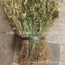 500g瓜子金辰砂草金锁匙瓜子草中药材干货源头货源大货批发零售