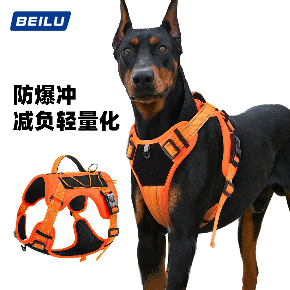 Трансграничный собачий поводок для собак на открытом воздухе