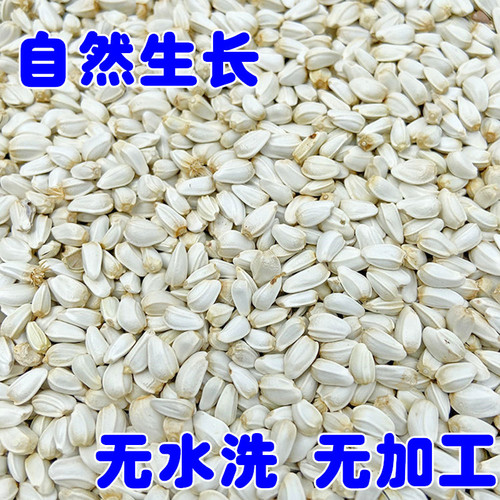 New Arrival Red Flower Seeds, Red Flower Seed, Mung Bean Seeds, Hamster, Parrot, Pigeon Bird Food, Parrot Bird Feed, Bird Food
