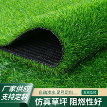 ���Q�߷����ƺ���������Ƥ���ƌWУ�و�������G����Ƥ��ƺ��̺