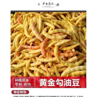 �S���h�N���ļ��߲˷Nֲ�̨ͥԺ�������Բ��N�N��
