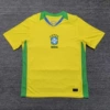 25-26 Brazil's home court