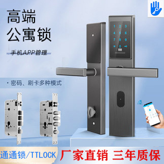 跨境海外通通锁TTLOCK入户防盗大门密码锁智能锁远程开门民宿锁