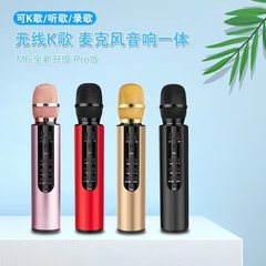 Lebo M6 karaoke microphone audio microphone integrated wireless microphone dual speakers wireless Bluetooth microphone amplifier