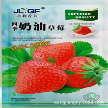 【跨境电商供货】彩包种四季播种室内阳台盆栽花卉种子家庭花种葫