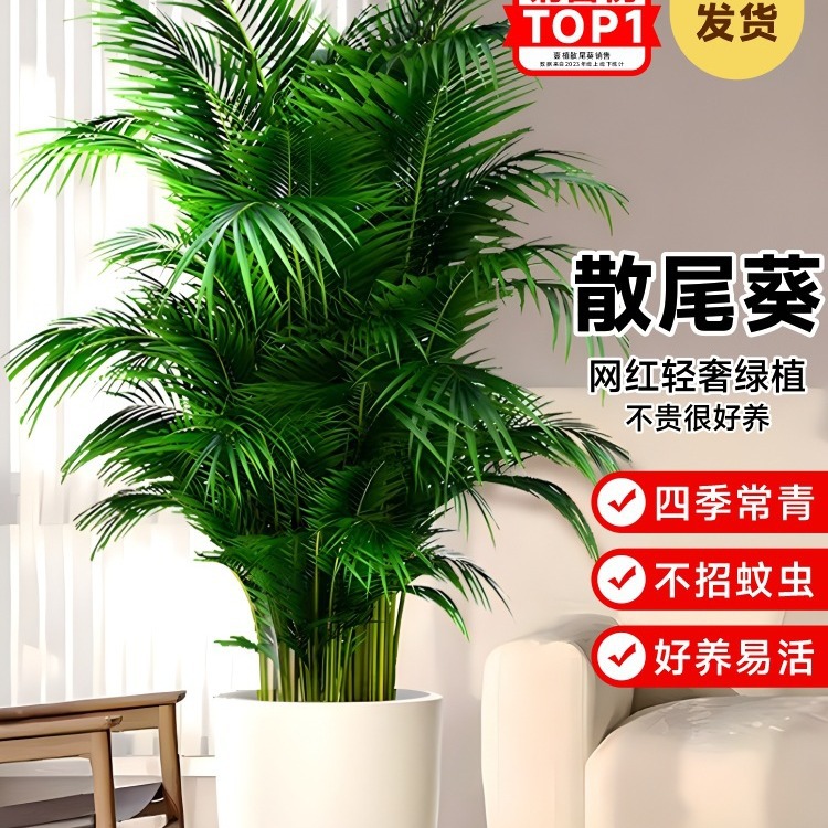 Large Potted Sunflower Plant for Living Room, Easy-To-Care Indoor Office Fiddle Leaf Fig Bonsai, Bird of Paradise Flower