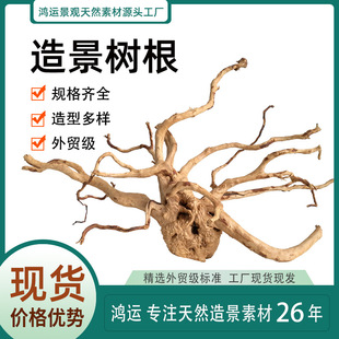 Natural Rhododendron Root Tree Root Branch Immersed Root Aquarium Fish Grass Tank Landscape Climbing Pet Decoration Wood Root