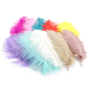 �S�����l�����ɫ�r�Bę̈���ֹ�diy�b��r�B��ë50-55CM��c�廨