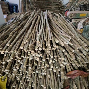 ����ľ��ȻҰ������˸箋ü�W�^�Bվ��վ�Uĥצ���ܰ��]�B�վ�U