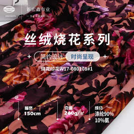新宏鑫 涤氨双色烧花金丝绒 260g高弹韩国丝绒布料 礼服旗袍 面料