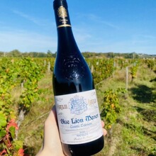 法国原瓶原装进口红酒 100%梅洛干红葡萄酒 西南产区批发代理团购