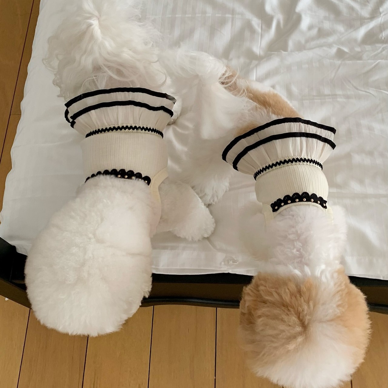 애완견 치마 일한풍 귀여운 탱크톱 원피스 작은 강아지 테디보미 고양이 옷 크로스오버