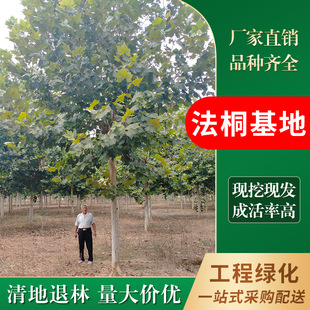 ��ͩ���� ������� �S��ֱ�N5-50���ַ�ͩ�� ������ͩ ���ľ