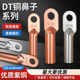 铜鼻子铜接头DT10/16/25/35/50/70-500平方接线端子堵油线耳鼻子