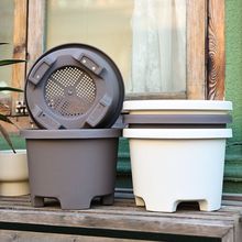 ��֬������ֵ�������m���G�}������Ӂ���ɽ���ڏ�����2.