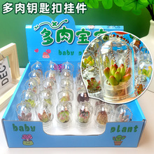 迷你多肉植物挂件创意小盆栽微缩景观挂件玻璃瓶钥匙扣学生小礼物