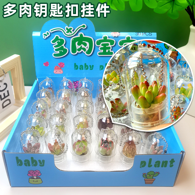Mini succulent plant pendant creative small potted miniature landscape pendant glass bottle keychain student small gift