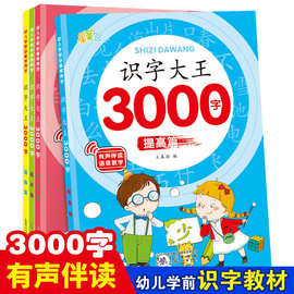 识字大王3000字起步进阶提高超越篇全4册幼儿学前识字启蒙教材