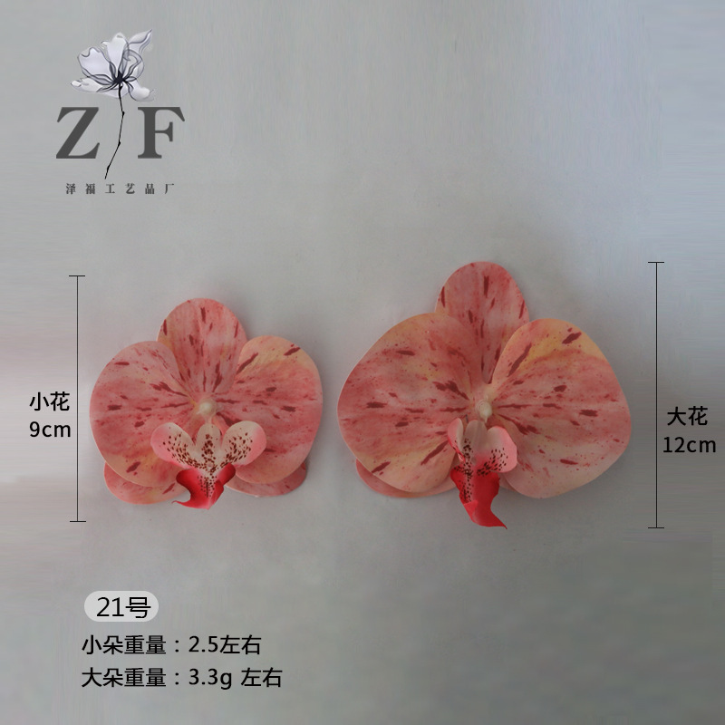 21호(대)