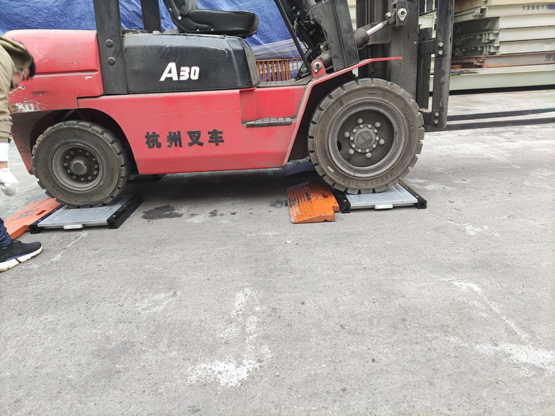一拖四无线静态称重仪-1