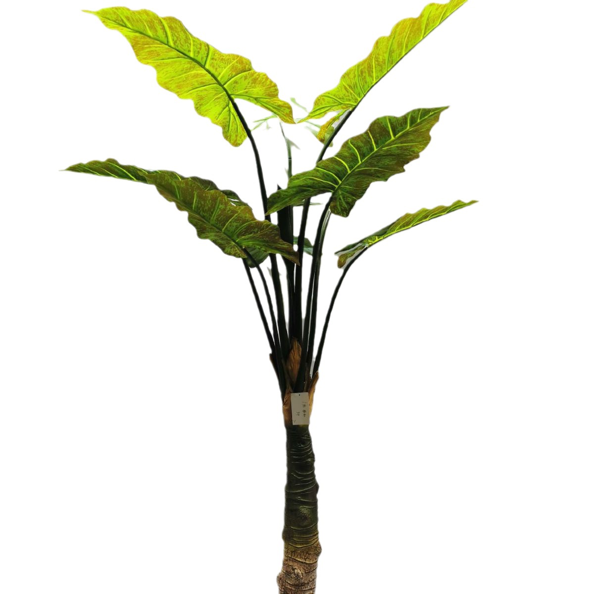 Descuento personalizado planta verde artificial flor artificial tortuga árbol trasero roble árbol de hierro viaje hoja de plátano Banyan phoenix cola bambú phoenix cola girasol