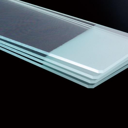 巴罗克 不灭菌玻片 货号7101 玻璃材质 非磨砂型 尺寸25.4 x 76.2