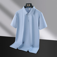 2025�ļ��¿���ʿ���z�ٸ�POLO�������̄����e���I�o��͸������