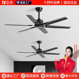 风扇灯;电风扇;吊扇