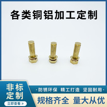 ���ܔ���܇�����S�~��Û�ݽz�A��ǘ���ĸ�� �Ƽ��L������Û��