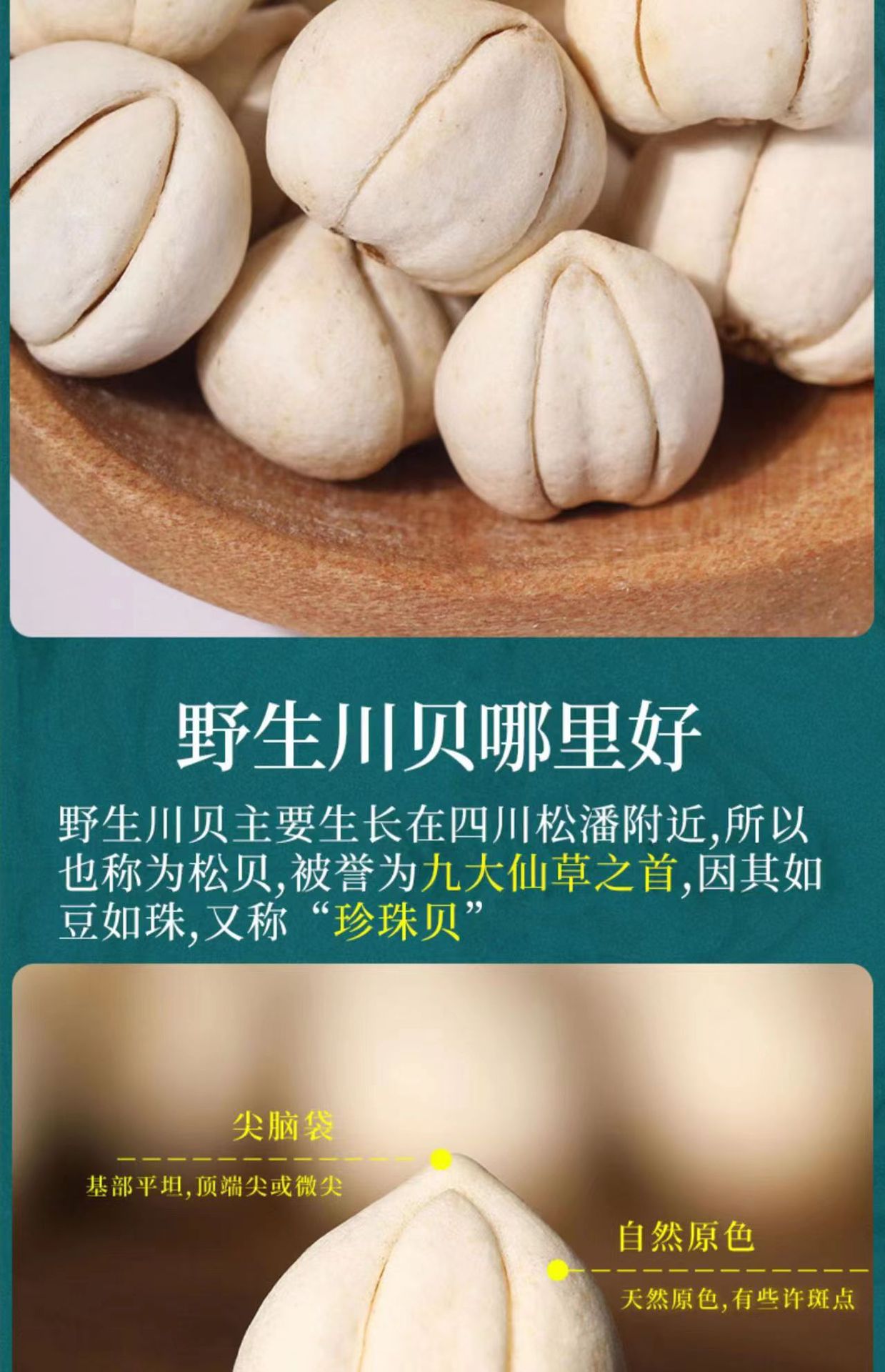 Sichuan Chuan Bei Mu Fritillaria Dried Bulbs 100g Traditional Chinese Herb for Decoction and Herbal Soup quality and texture