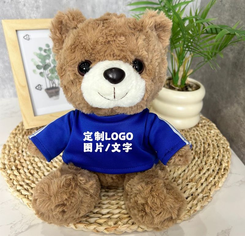 公仔小熊换衣服T恤校服毛衣娃娃毛绒玩具玩偶来图来样印制logo|undefined