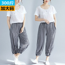 ���һ�Դ�ش���Ůװ���������������ݸ��ӿ���mm�˷ֿ�ZM68102