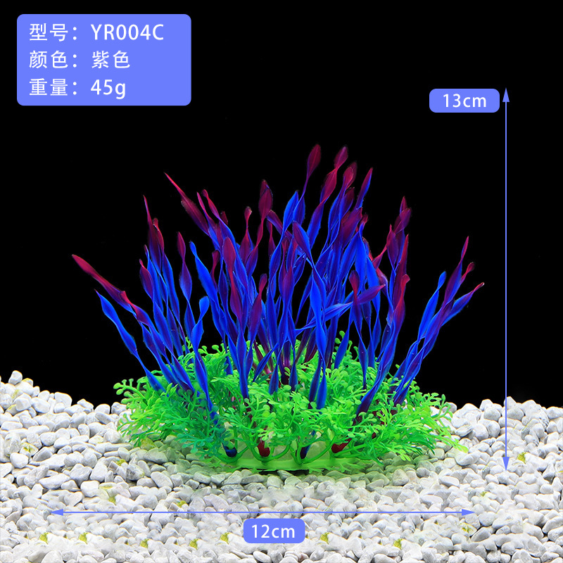YR004C