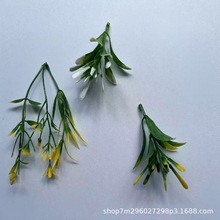 ������滨��ֲ��Gֲ����辰�����b�ˮ��diy�S�����l���ϲ廨