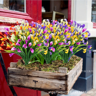 �羳����5�^�R��ɏ�����촺�����ϻ����Ҿӻ�Y�bGֲ�[�����l