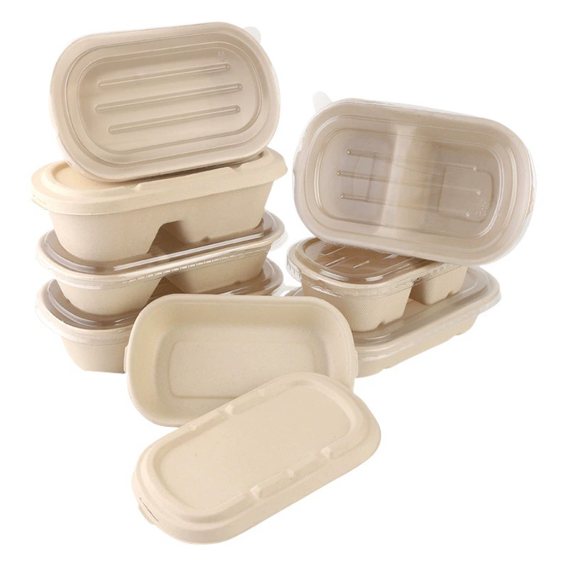 Устранимая коробка для завтрака Деградабле коробка для завтрака пульпы Коробка упаковки на вынос Коробка для салата светлой еды Диэлектрическая коробка для завтрака